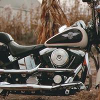 Harley-Davidson Softail Heritage - 1993