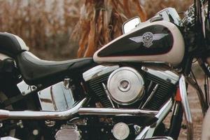 Harley-Davidson Softail Heritage - 1993