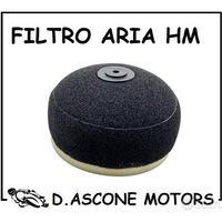 Filtro aria hm