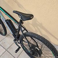 montanbike elettrica