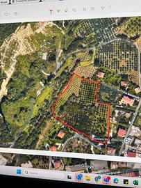 Terreno agricolo - deposito- altro - Fuorni