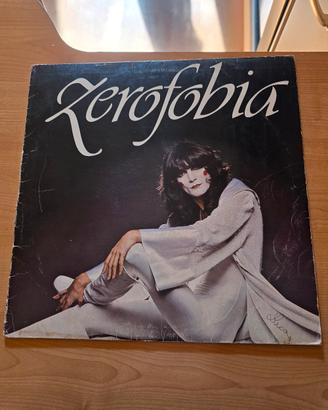 vinile vintage 33 giri