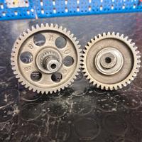 rapporti primari e secondari piaggio zip 