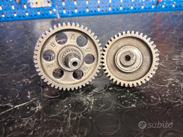 rapporti primari e secondari piaggio zip 