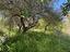 Immagine 13