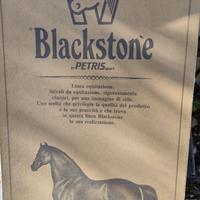 Stivali da equitazione uomo