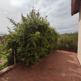 Villino con giardino Montegrosso