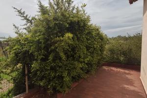 Villino con giardino Montegrosso