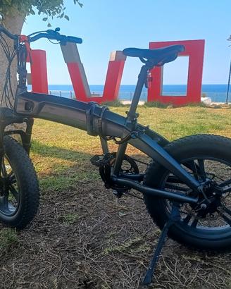 fat bike