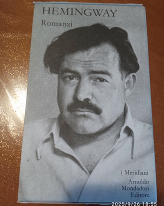 I romanzi di Hemingway 