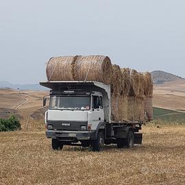 fieno balloni e ballette 