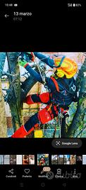 Potatura ed abbattimento alberi in tree climbing