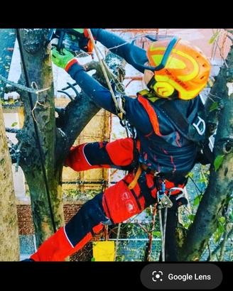 Potatura ed abbattimento alberi in tree climbing