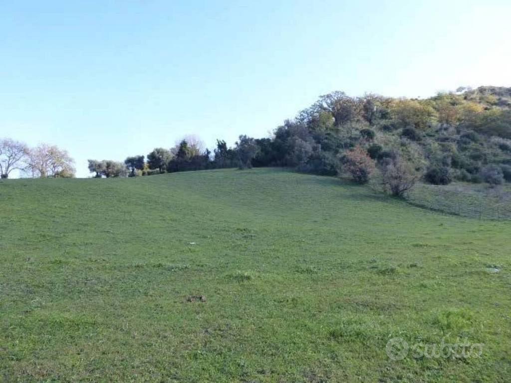 Immobile in asta di 6430 m² a Casignana - Altro