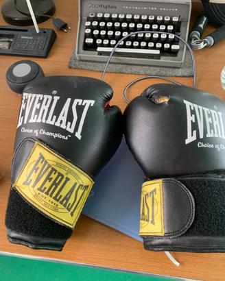 Guantoni boxe Everlast