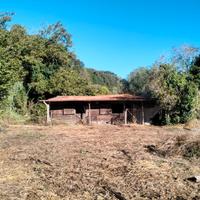 Terreno con stalla per animali