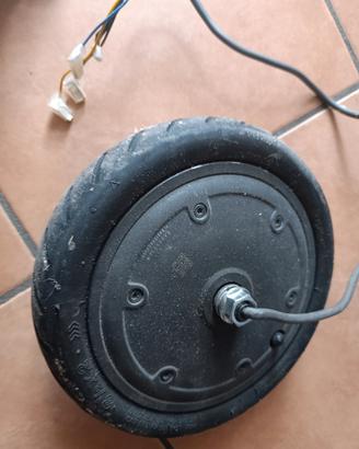 ruota motore elettrico 