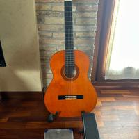 Chitarra Eko CS10C + Accessori