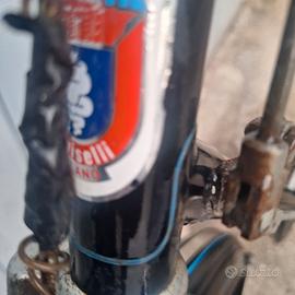 Bicicletta Doniselli Milano uomo