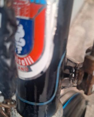 Bicicletta Doniselli Milano uomo