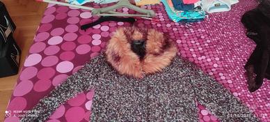 cappotto donna twinset 