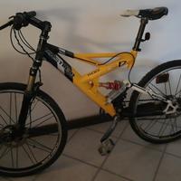 Mountain bike personalizzata