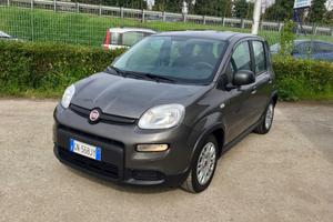 Fiat Panda 5 Posti 1.0 FireFly 70Cv Hybrid City Cr