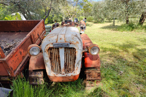 Trattore Lombardini Castoro '62