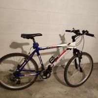 biciclette Bottecchia