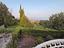 Immagine 29