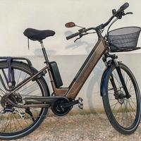 Bici elettriche