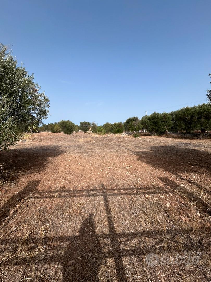 Comodo Terreno su strada Recintato - Vista 3