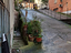Immagine 5