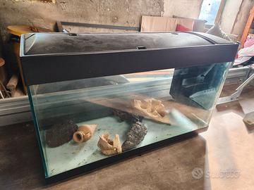 Acquario