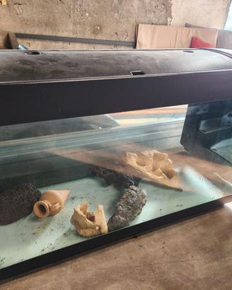 Acquario