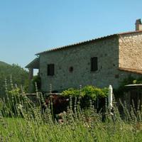 Monolocale in piccolo agriturismo