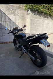 Honda Hornet 600