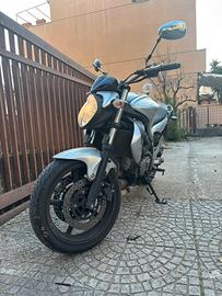 Suzuki Gladius 650