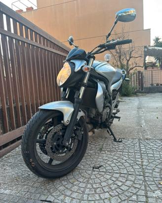 Suzuki Gladius 650