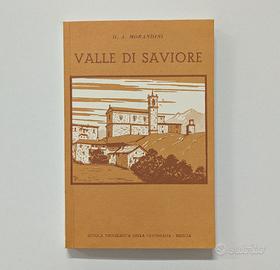 Appunti di Storia sulla Valle di Saviore