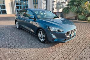 Ford Focus 1.5 EcoBlue 120 CV 5p. Business