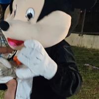 per chiusura attività