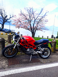 Monster S4R
