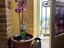 Immagine 10