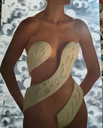 Calendario Pirelli 1993