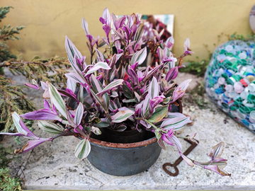 2 Paioli portavasi in rame antichi