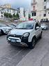 fiat-panda-cross-1-3-mjt-95-cv-s-s-4x4-euro6b