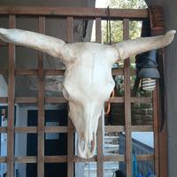 decorazione ornamentale