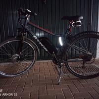 bicicletta elettrica
