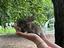 Immagine 1